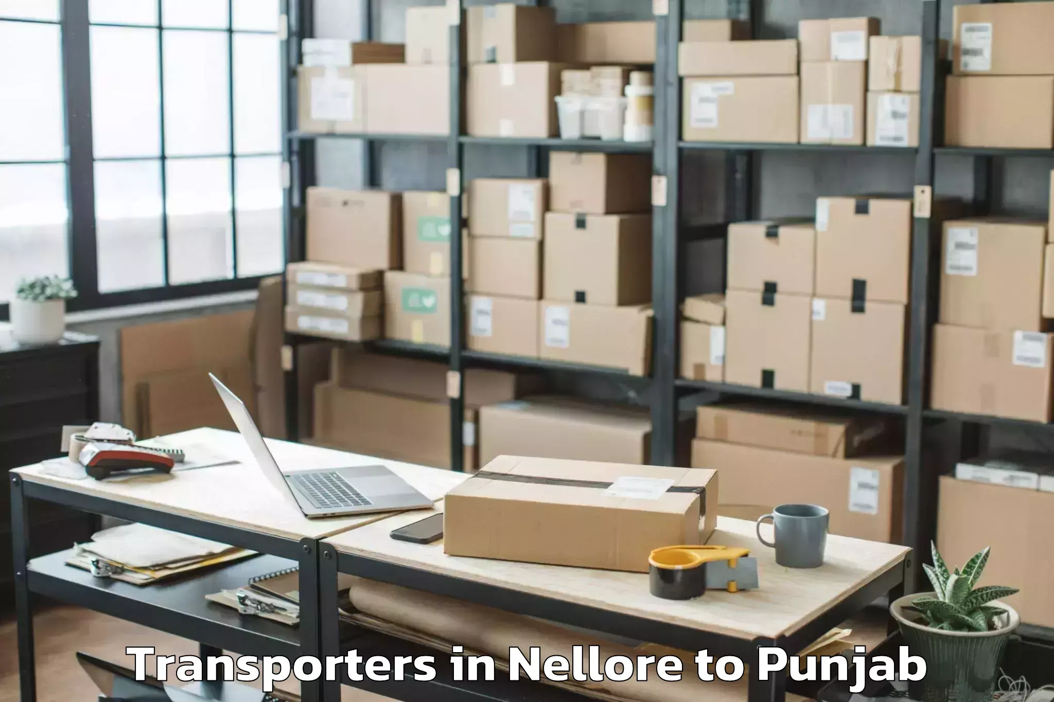 Professional Nellore to Mohali Transporters